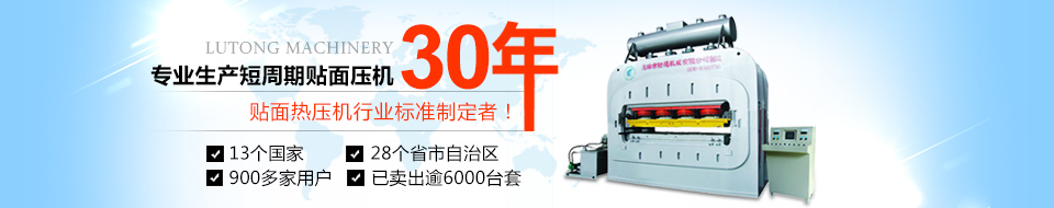 專(zhuān)業(yè)貼面熱壓機(jī)30幾年